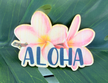 Preview: *NEU* Bambus Sticker " Aloha Plumeria "